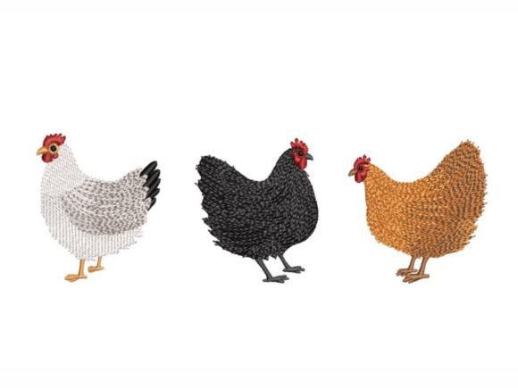 Three Chickens Embroidery Review